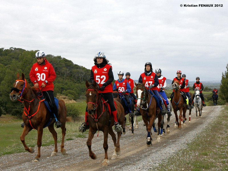 Éxito del Raid Navarro en el CEI** 120 Kms. Copa Interautonomías 2012 Figarol-Bardenas Reales de Navarra. Medallas de Oro y Bronce individual y Plata por equipos.
